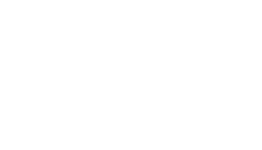 Willow Wish Granting Birth By Choice.