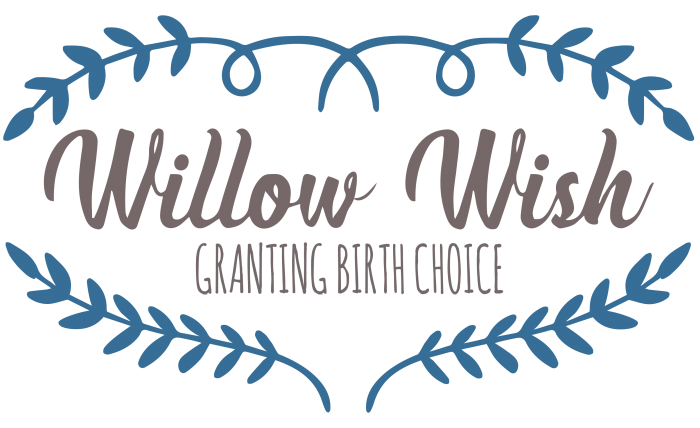 Willow Wish Doula Grant assists wherever you birth