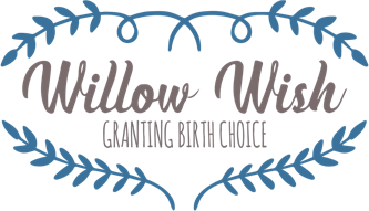 Willow Wish Logo